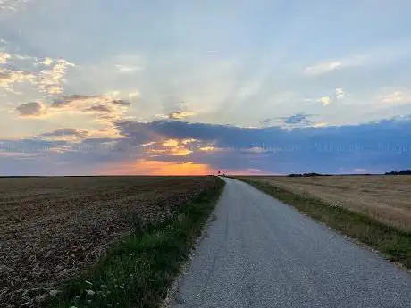 L'allée royale de villepreux