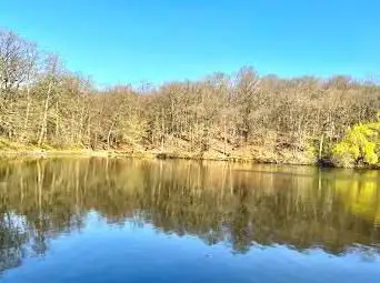 Forêt domaniale de Meudon