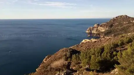 Torre dell'Avvoltore