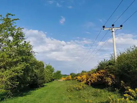 Holywell Racecourse