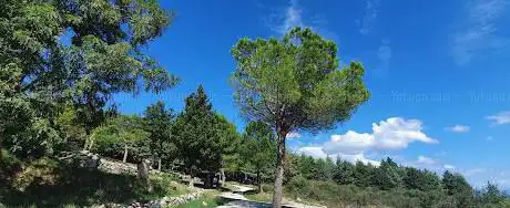 Pineta di Monte Guardia