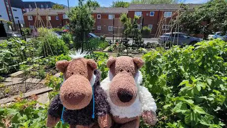 Everton Community Garden