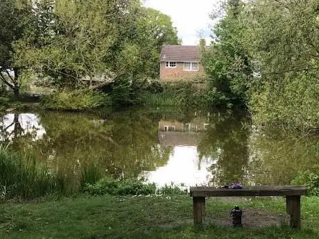 (Ringmer Parish Council) Pond