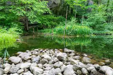 amphibienweiher lochbach