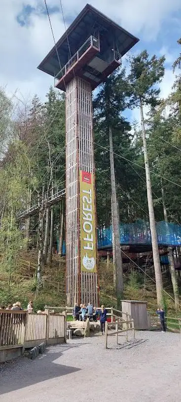 Zip World Fforest