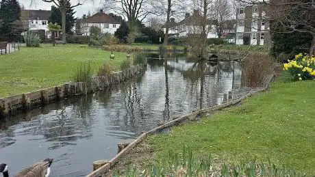 Waddon Ponds