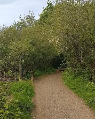 Westley Vale Millennium Green