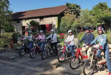 Vous en mob - balades insolites Ã  mobylette, accompagnées et commentées, en Nord Béarn et dans le vignoble du Madiran