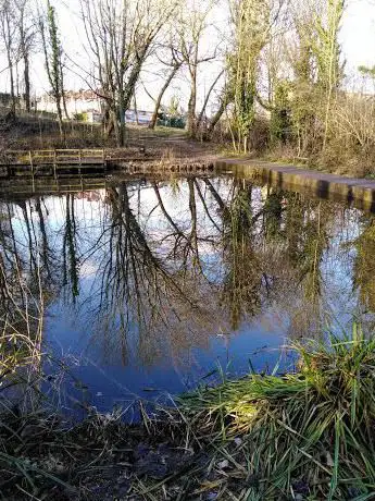 Crabtree Wood