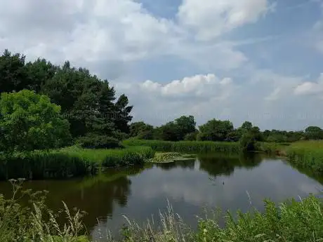 Coppenhall Gorse (The Moat)