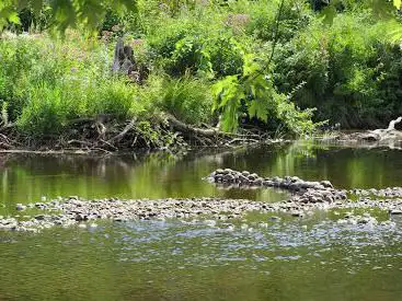 Alan E. Rich Environmental Park