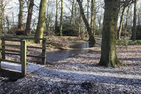 Quaker's Coppice Woodland