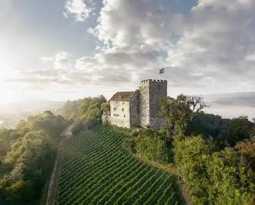 Habsburg Castle