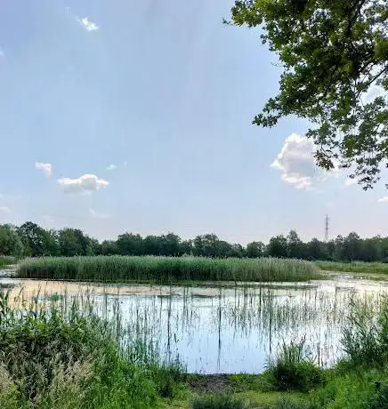 Natuurgebied Platwijers - Wijvenheide