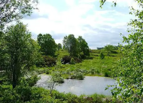 Naturführungen Hohes Venn