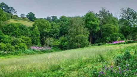 Cowden Pound Pastures