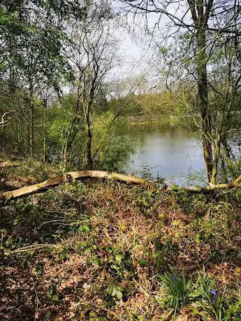 Mapperley Wood Nature Reserve