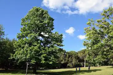 Parc Saint Cyr