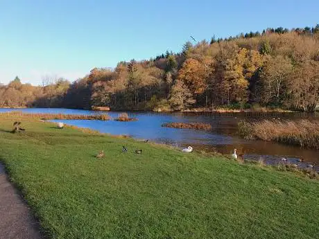 Duns Castle Nature Reserve