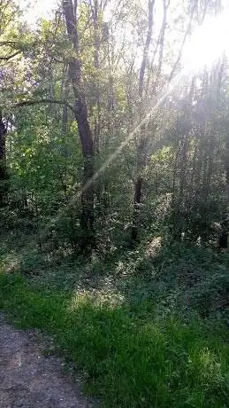 Bremgartenwald Weggabelung | Karlsruhe |