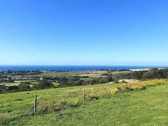 Brading Down Local Nature Reserve