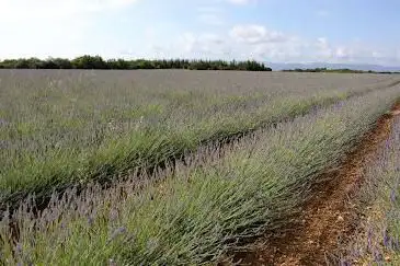 Plateau des Claparèdes