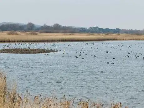 Réserve naturelle de Titchwell Marsh