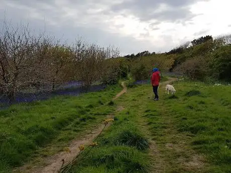 Bishop's Wood Local Nature Reserve