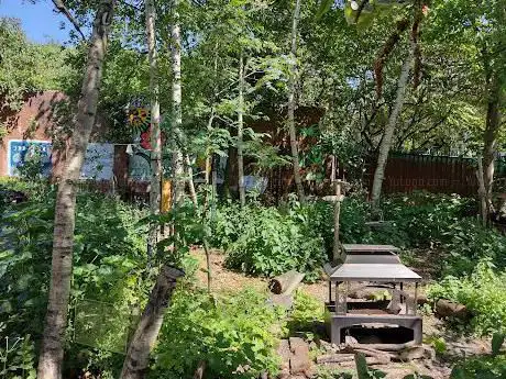 Digbeth Community Garden