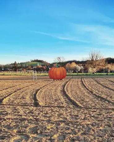 La zucca gigante