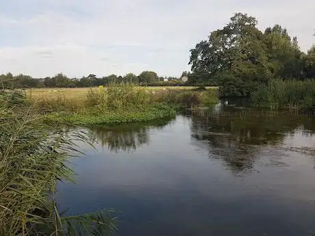 Middle Street Meadow