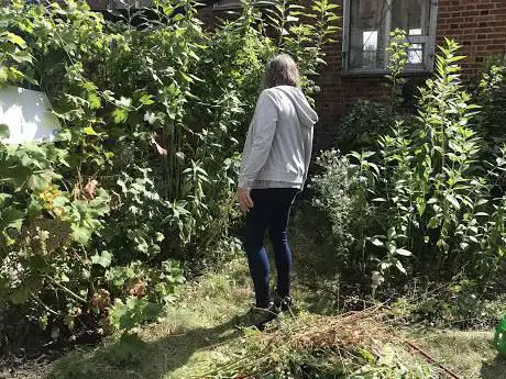 St Saviour's Edible Garden