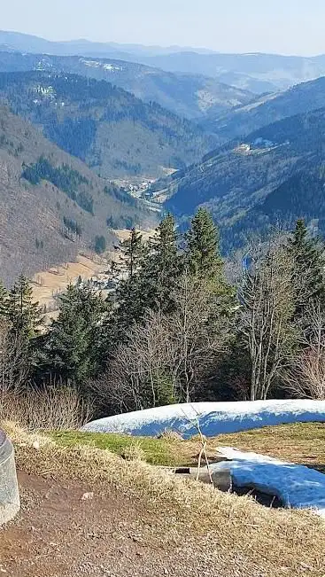 Panorama Blick Schwarzwald