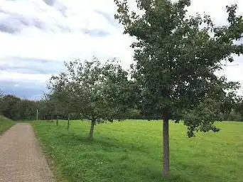 Streuobstlehrpfad Auersmacher