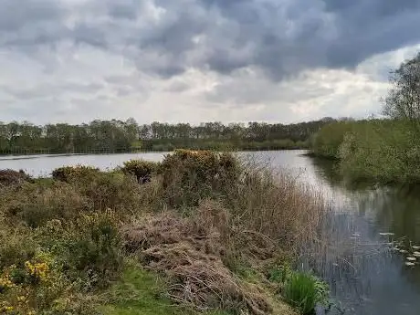 Mere Sands Wood