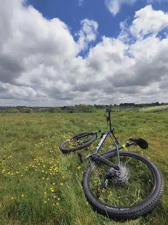 Farthing Downs