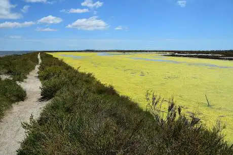 Salins de Villeroy