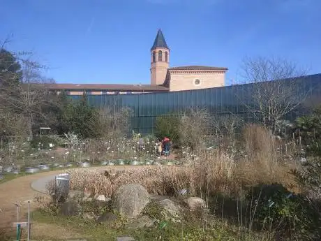 Muséum de Toulouse