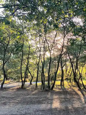 Parc du Bois des Chênes