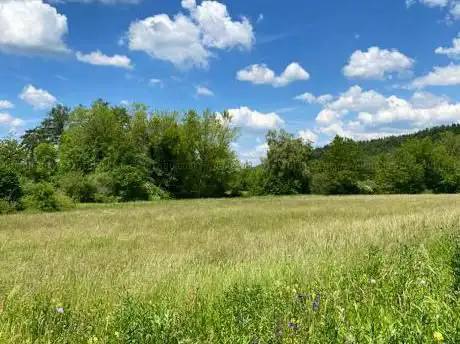 Brunnmatte Roggwil Nature Reserve