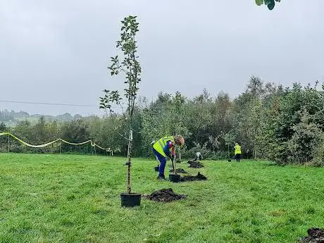 Community Orchard