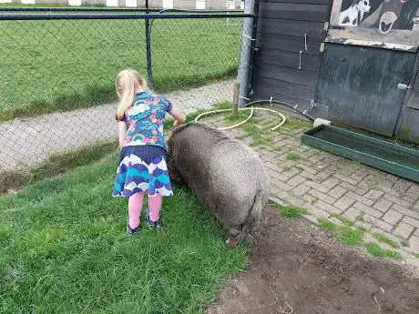 Kinderboerderij Bergeijk