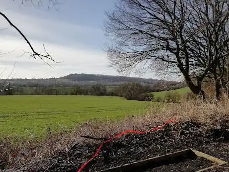 South Yorkshire Forest