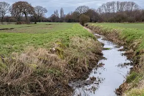 Ford Brook