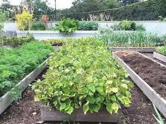 Edible Academy, NYBG