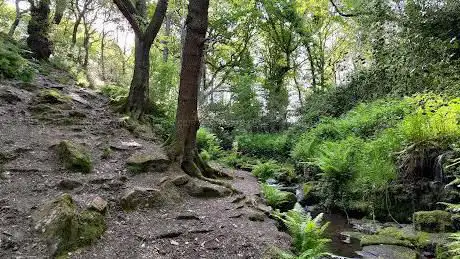 Blackbrook Wood