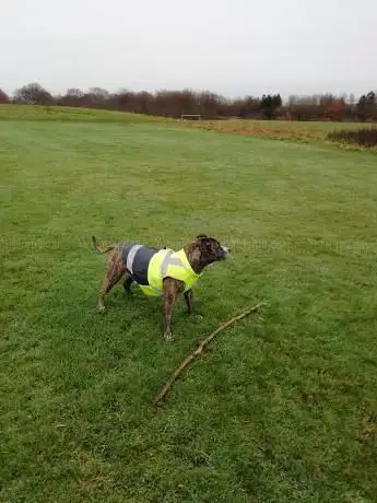 John Eddleston Playing Fields