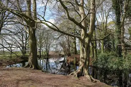 Sandfield Natural Play Centre