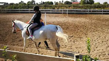 Cavallonatura Equestrian Center Grosseto