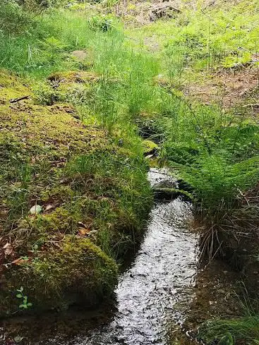 Chemin des cascades